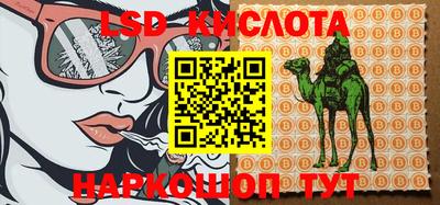 прущие крисы Ипатово