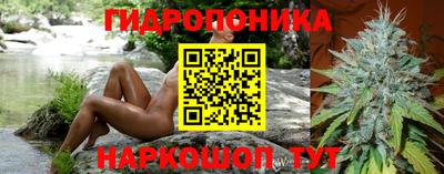 прущие крисы Ипатово