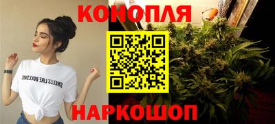 крисы Изобильный
